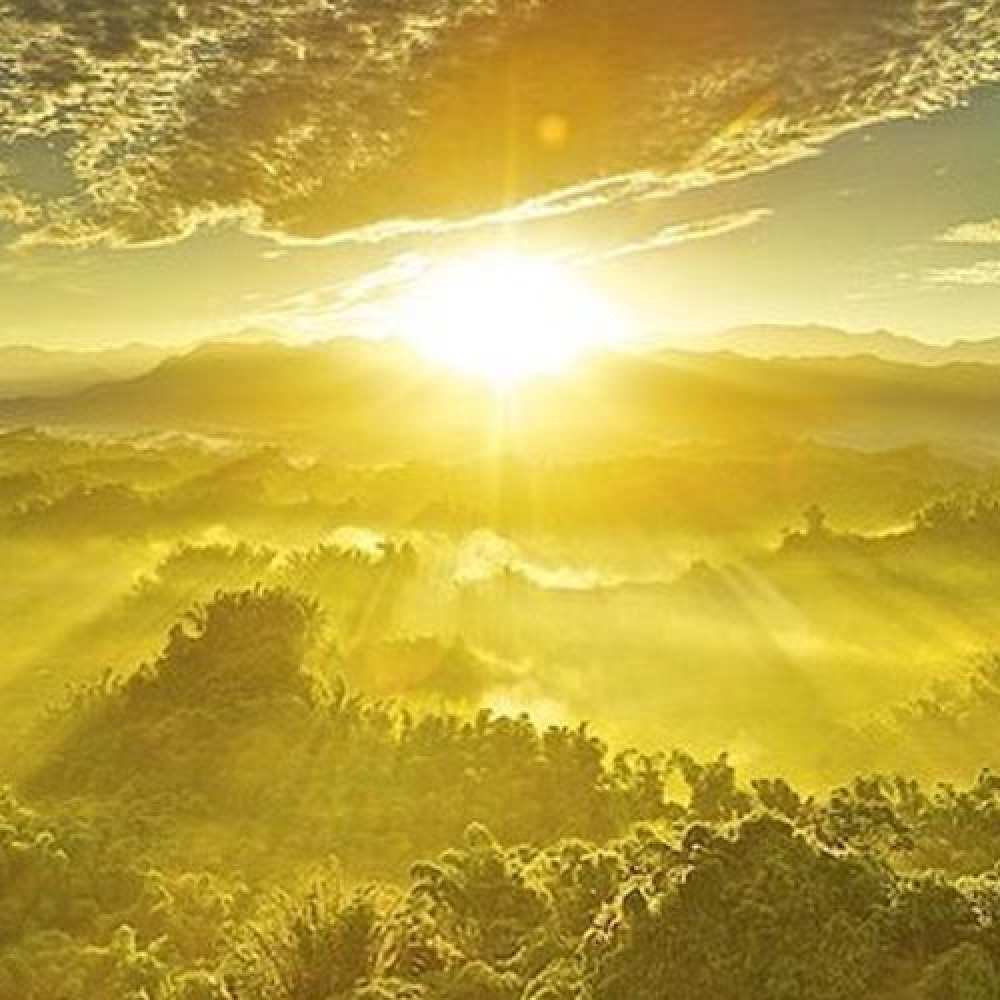 Открытка на каждый день с именем, Ким С днем ангела леса и небо в желтом Прикольная открытка с пожеланием онлайн скачать бесплатно 