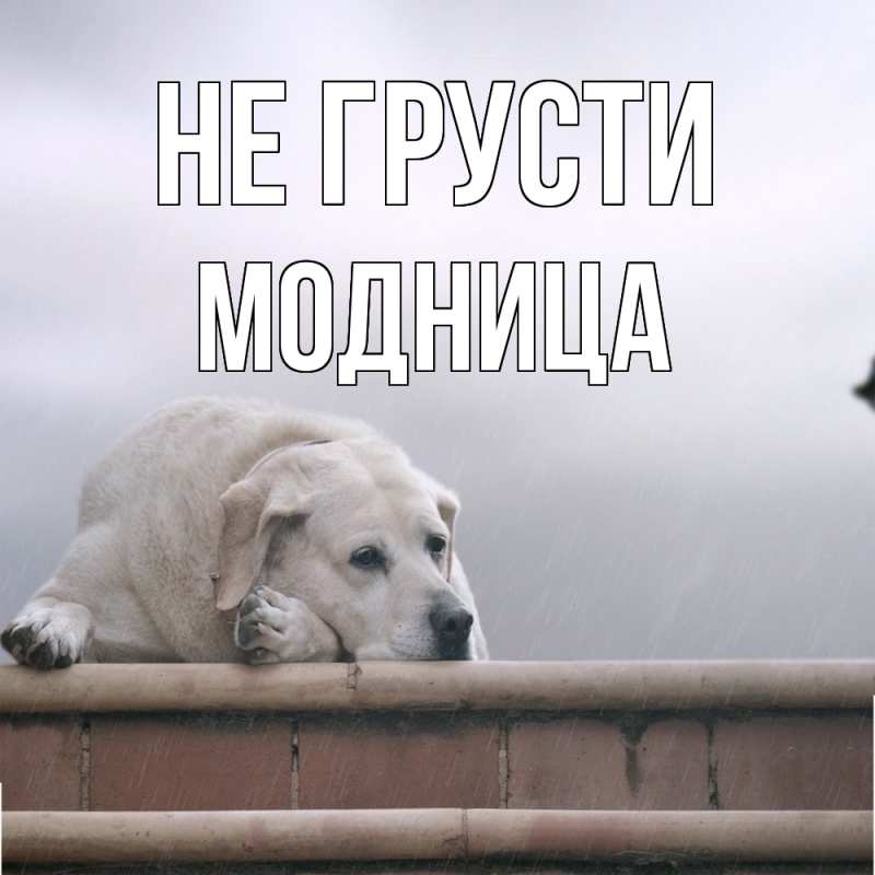 Картинка Не грусти, Модница