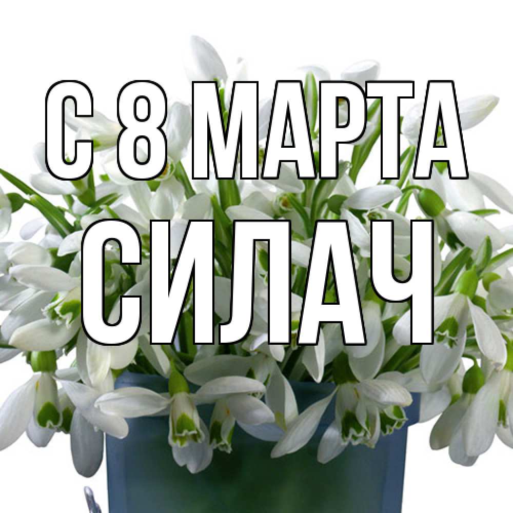 Открытка на каждый день с именем, силач C 8 МАРТА цветы к международному женскому дню Прикольная открытка с пожеланием онлайн скачать бесплатно 