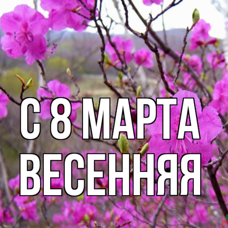 Картинка C 8 МАРТА, Весенняя