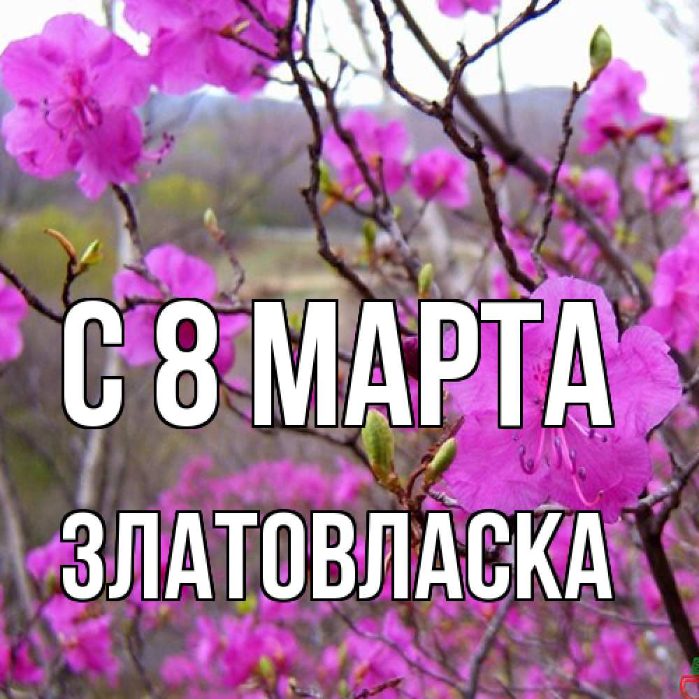 Открытка на каждый день с именем, златовласка C 8 МАРТА международный женский день Прикольная открытка с пожеланием онлайн скачать бесплатно 