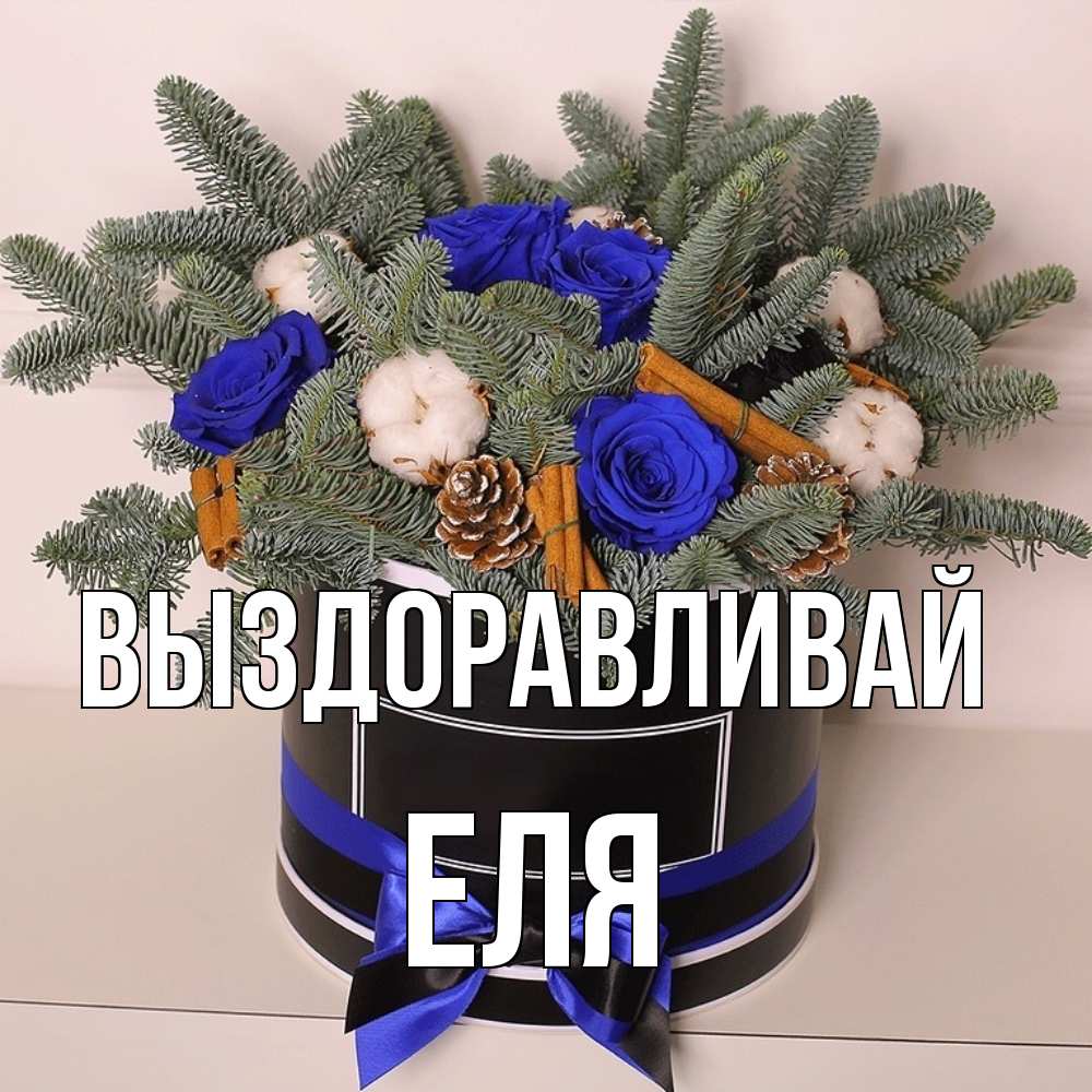 Открытка на каждый день с именем, Еля Выздоравливай короче кто то загрузил эти шишки Прикольная открытка с пожеланием онлайн скачать бесплатно 