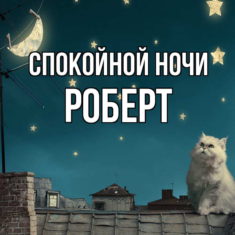 Открытка на каждый день с именем, Роберт Спокойной ночи белый кот сидит на крыше Прикольная открытка с пожеланием онлайн скачать бесплатно 