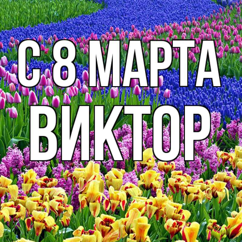 Картинка C 8 МАРТА, Виктор