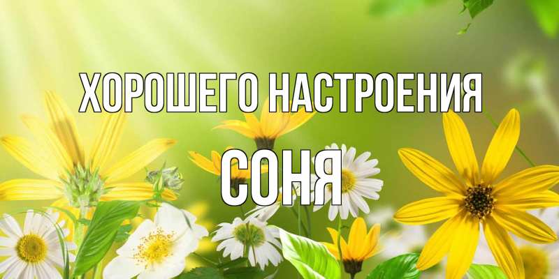 Открытка с именем, Соня, Хорошего настроения