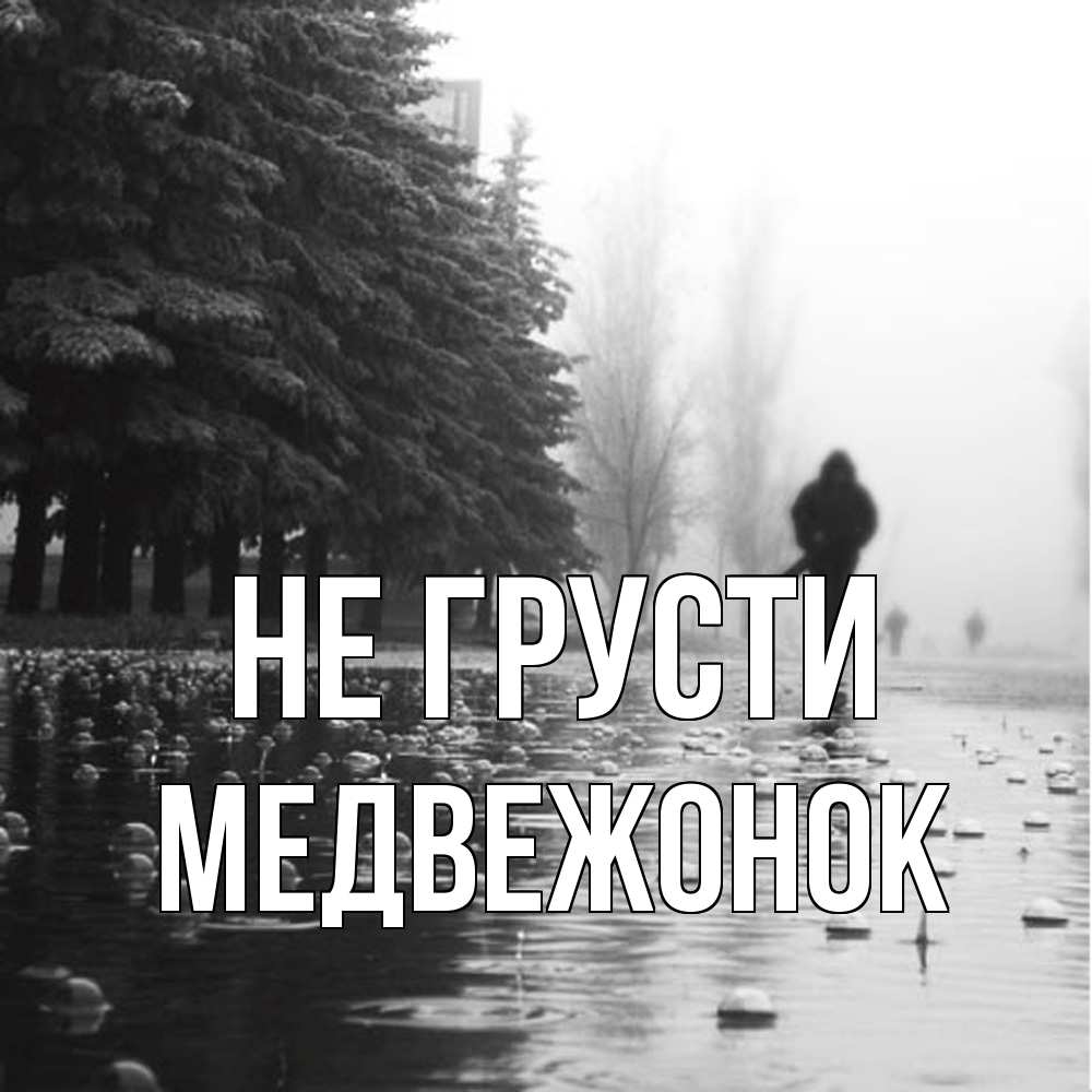 Открытка на каждый день с именем, медвежонок Не грусти улица под дождем Прикольная открытка с пожеланием онлайн скачать бесплатно 