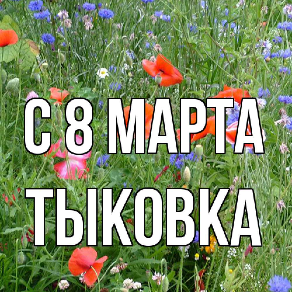 Открытка на каждый день с именем, тыковка C 8 МАРТА международный женский день 4 Прикольная открытка с пожеланием онлайн скачать бесплатно 