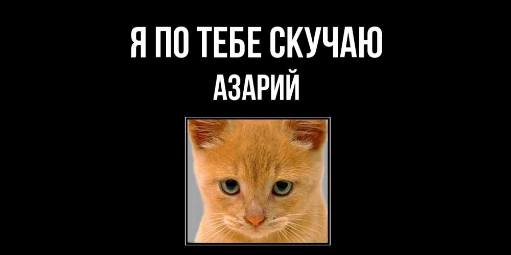 Открытка на каждый день с именем, Азарий Я по тебе скучаю открытки рыжий котенок скучает по тебе Прикольная открытка с пожеланием онлайн скачать бесплатно 