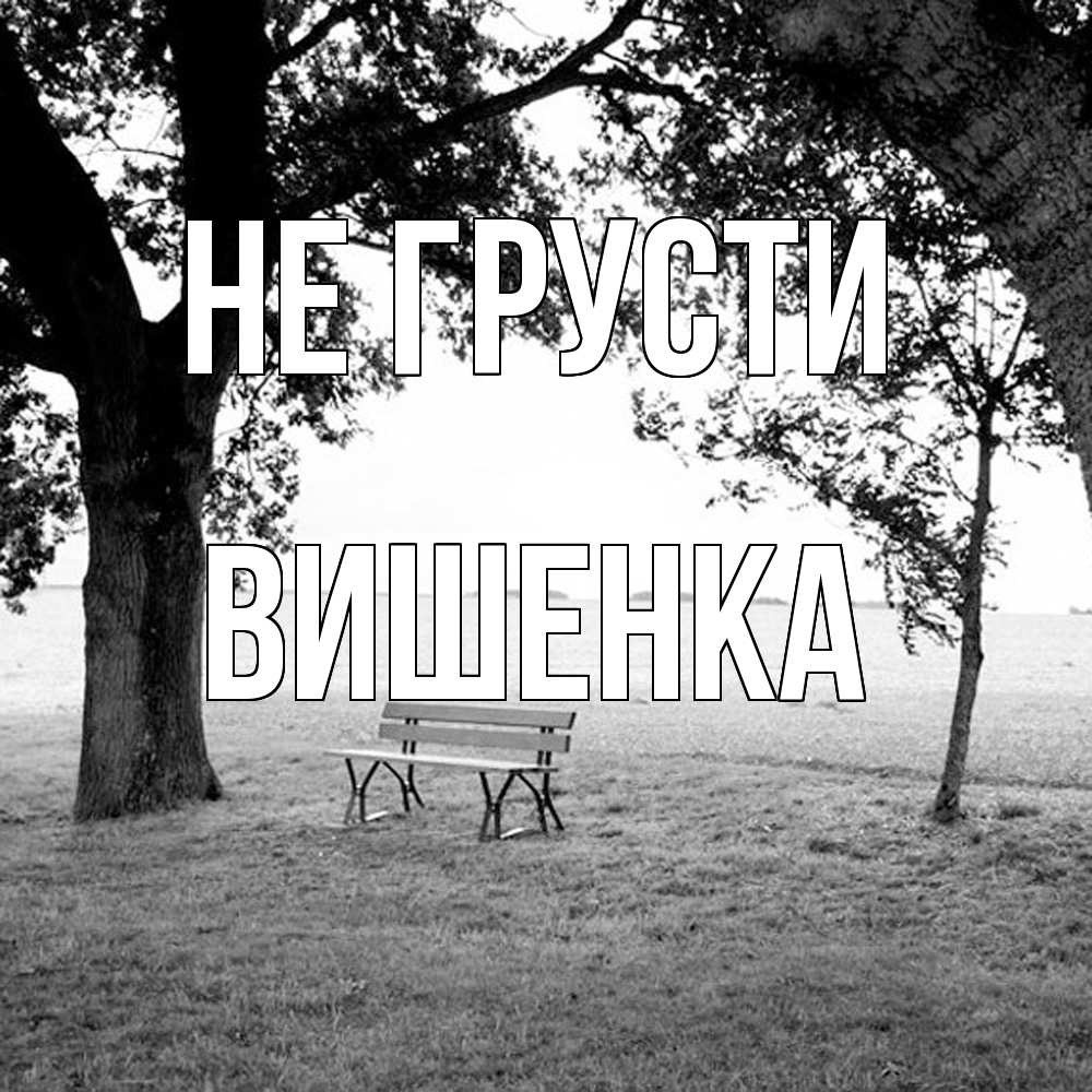 Открытка на каждый день с именем, Вишенка Не грусти мощное дерево Прикольная открытка с пожеланием онлайн скачать бесплатно 