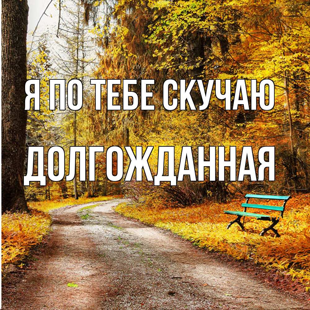 Открытка на каждый день с именем, Долгожданная Я по тебе скучаю зеленая лавочка и осенний лес Прикольная открытка с пожеланием онлайн скачать бесплатно 