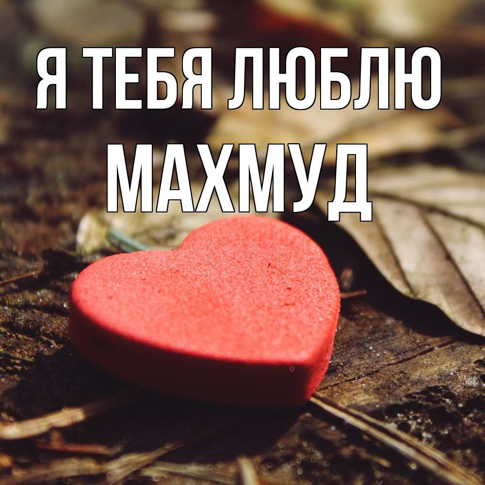 Открытка на каждый день с именем, Махмуд Я тебя люблю листья деревье 4 Прикольная открытка с пожеланием онлайн скачать бесплатно 