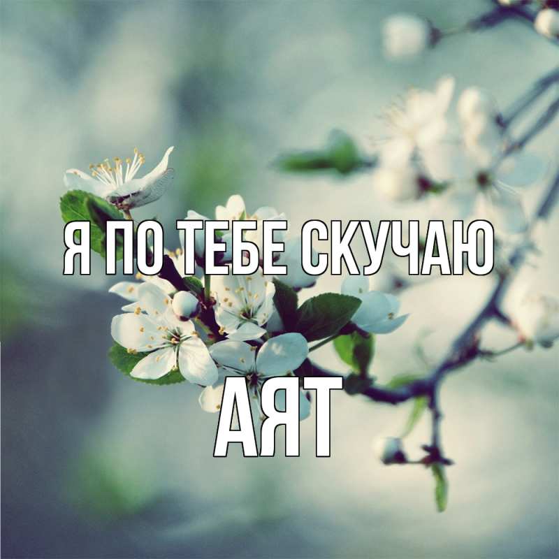 Картинка Я по тебе скучаю, Аят