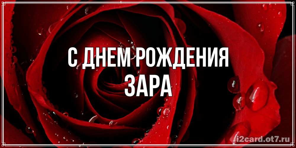 Открытка на каждый день с именем, Зара С днем рождения крупная бордовая роза Прикольная открытка с пожеланием онлайн скачать бесплатно 