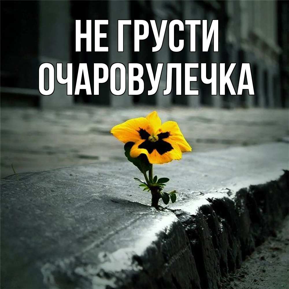 Открытка на каждый день с именем, Очаровулечка Не грусти не сдавайся Прикольная открытка с пожеланием онлайн скачать бесплатно 