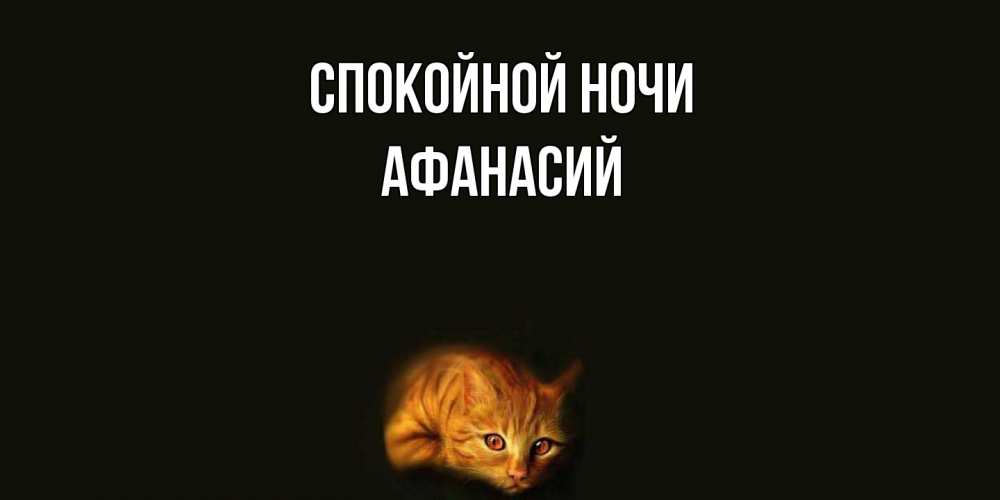 Открытка на каждый день с именем, Афанасий Спокойной ночи кот Прикольная открытка с пожеланием онлайн скачать бесплатно 