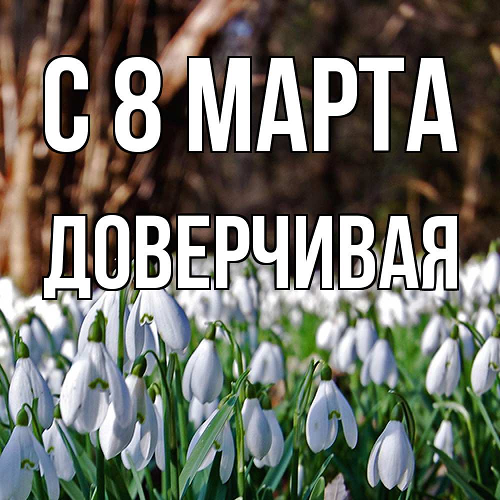 Открытка на каждый день с именем, Доверчивая C 8 МАРТА с подснежниками 1 Прикольная открытка с пожеланием онлайн скачать бесплатно 