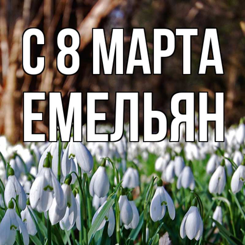 Картинка C 8 МАРТА, Емельян