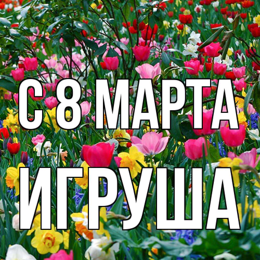 Открытка на каждый день с именем, Игруша C 8 МАРТА с международным женским днем поздравления для женщины Прикольная открытка с пожеланием онлайн скачать бесплатно 