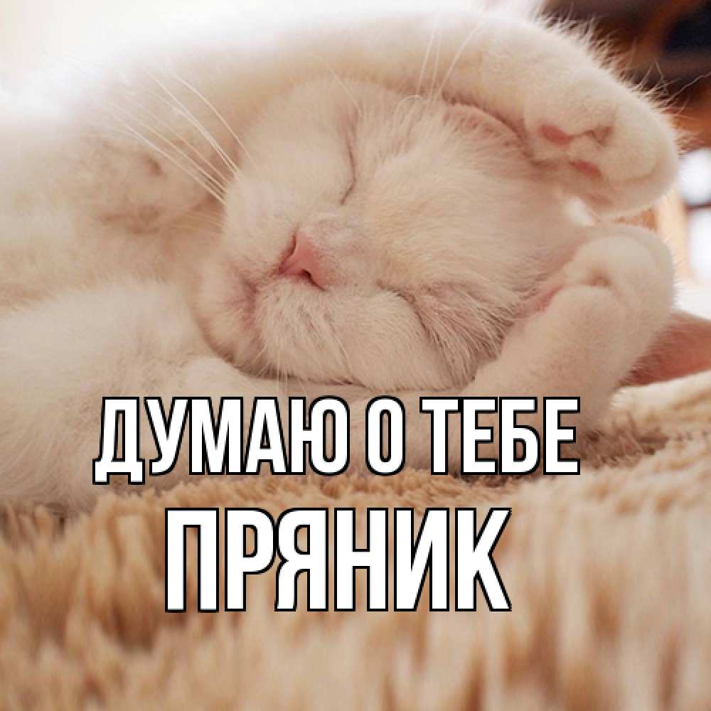 Открытка на каждый день с именем, Пряник Думаю о тебе для любимой девушки милота Прикольная открытка с пожеланием онлайн скачать бесплатно 