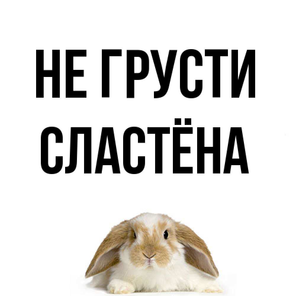 Открытка на каждый день с именем, сластёна Не грусти коричнево белый заяц с большими ушками Прикольная открытка с пожеланием онлайн скачать бесплатно 