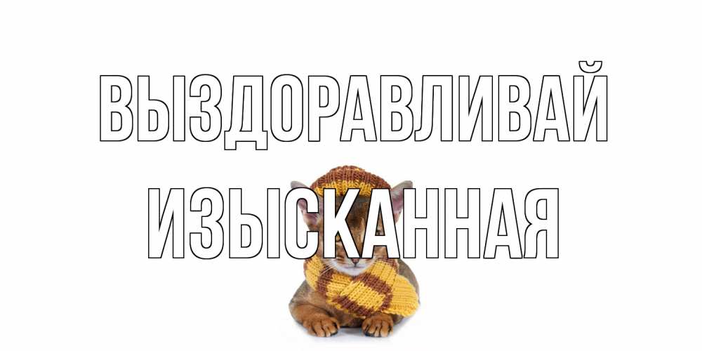 Открытка на каждый день с именем, изысканная Выздоравливай родные не болейте Прикольная открытка с пожеланием онлайн скачать бесплатно 