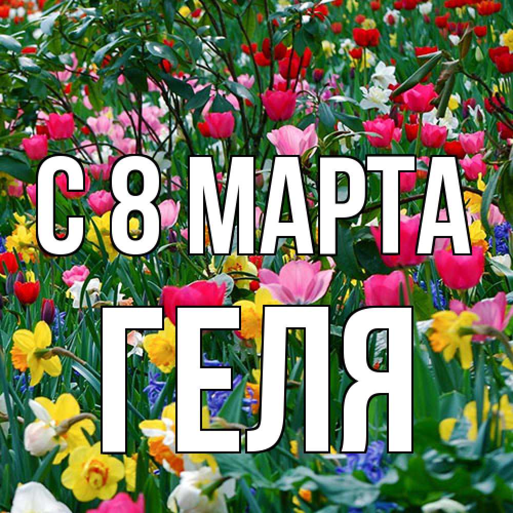 Открытка на каждый день с именем, Геля C 8 МАРТА с международным женским днем поздравления для женщины Прикольная открытка с пожеланием онлайн скачать бесплатно 