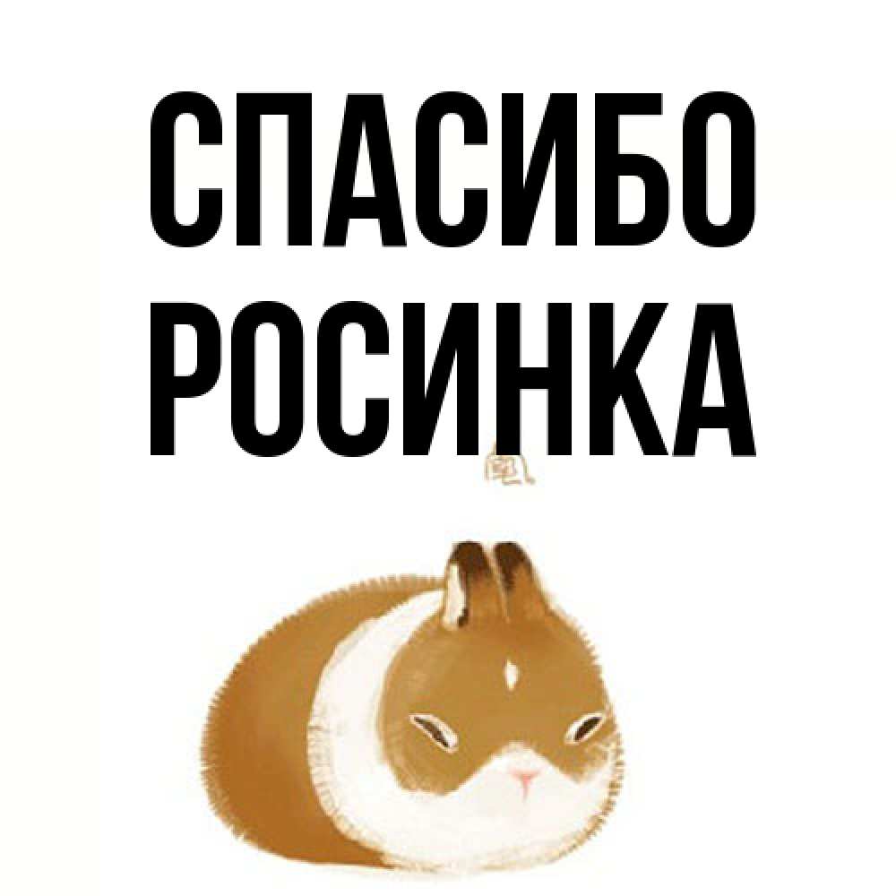 Открытка на каждый день с именем, Росинка Спасибо коричнево белый домашний питомец Прикольная открытка с пожеланием онлайн скачать бесплатно 