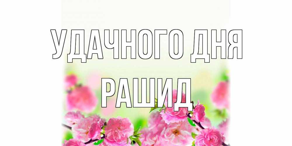 Открытка на каждый день с именем, Рашид Удачного дня цветы Прикольная открытка с пожеланием онлайн скачать бесплатно 