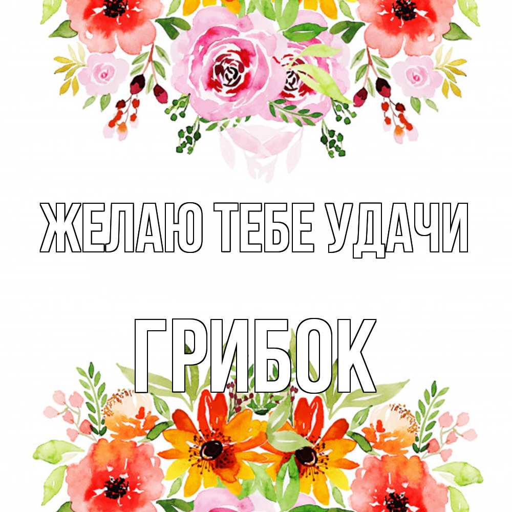 Открытка на каждый день с именем, Грибок Желаю тебе удачи открытка с цветами акварелью Прикольная открытка с пожеланием онлайн скачать бесплатно 
