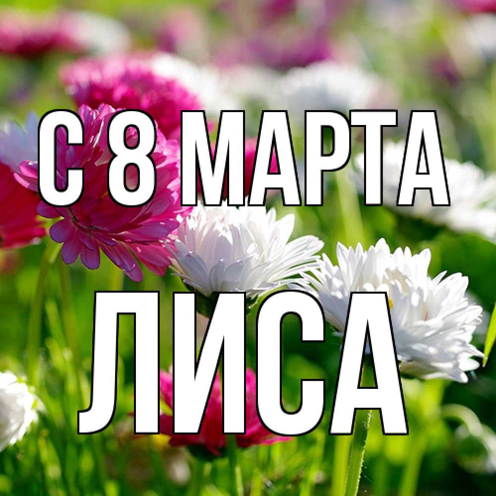 Открытка на каждый день с именем, лиса C 8 МАРТА международный женский день 1 Прикольная открытка с пожеланием онлайн скачать бесплатно 