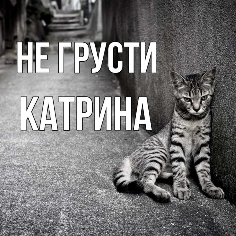 Картинка Не грусти, Катрина