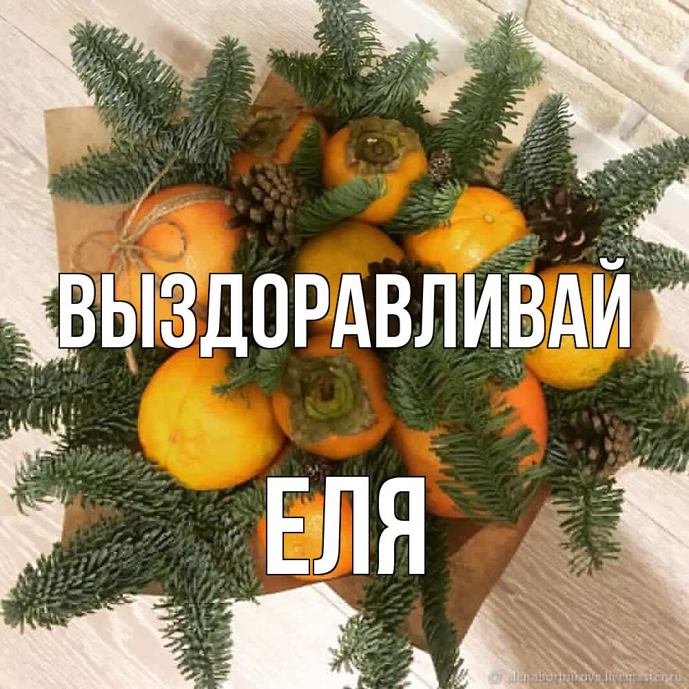 Открытка на каждый день с именем, Еля Выздоравливай апельсины и хурьма Прикольная открытка с пожеланием онлайн скачать бесплатно 