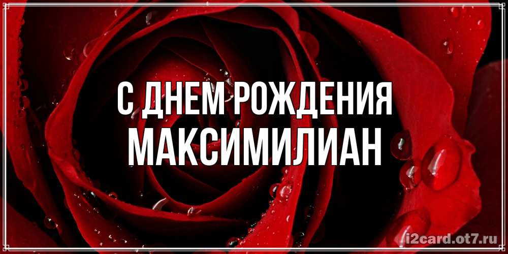 Открытка на каждый день с именем, Максимилиан С днем рождения крупная бордовая роза Прикольная открытка с пожеланием онлайн скачать бесплатно 