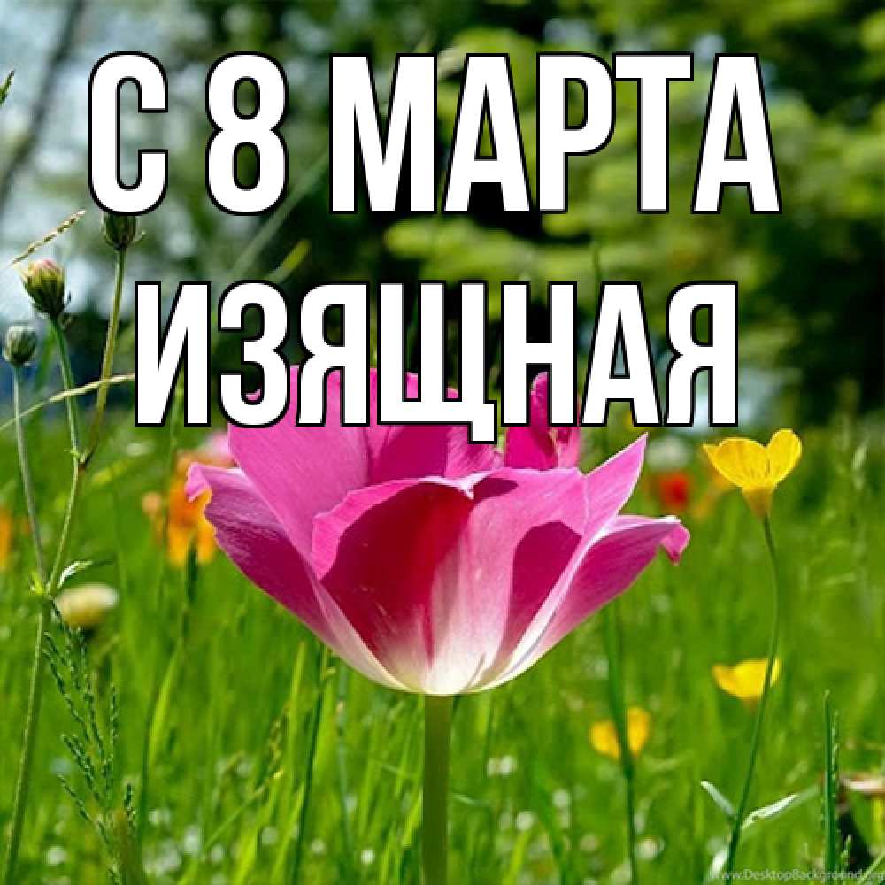Открытка на каждый день с именем, Изящная C 8 МАРТА полевые цветы Прикольная открытка с пожеланием онлайн скачать бесплатно 