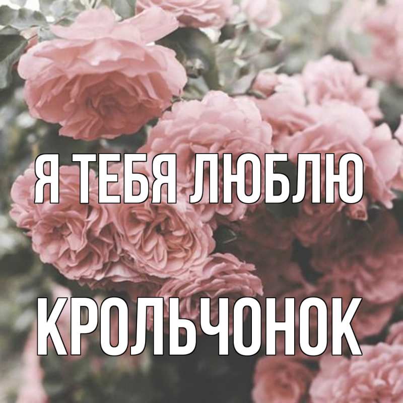 Картинка Я тебя люблю, Крольчонок