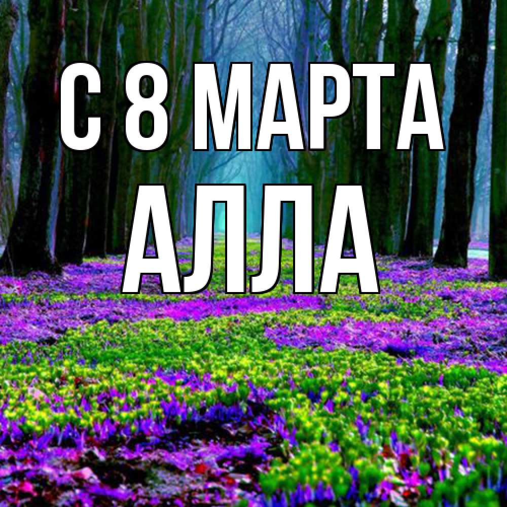 Открытка на каждый день с именем, Алла C 8 МАРТА фиолетовые цветы в лесу 1 Прикольная открытка с пожеланием онлайн скачать бесплатно 