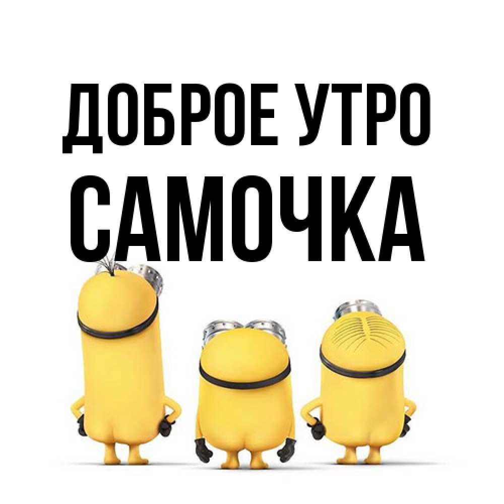 Открытка на каждый день с именем, Самочка Доброе утро подписать открытку онлайн бесплатно Прикольная открытка с пожеланием онлайн скачать бесплатно 