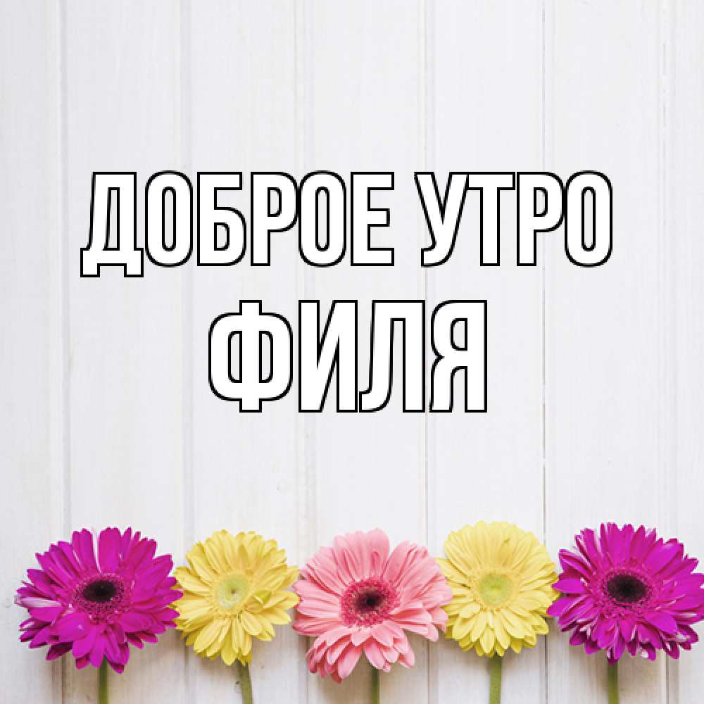 Открытка на каждый день с именем, Филя Доброе утро красный желтый и розовый цветок Прикольная открытка с пожеланием онлайн скачать бесплатно 