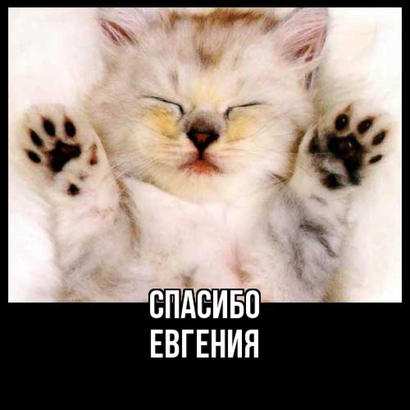 Картинка Спасибо, Евгения