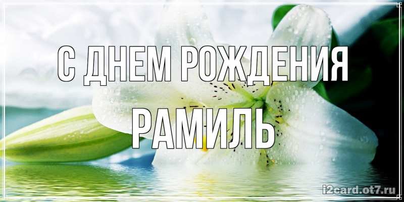 Картинка С днем рождения, Рамиль