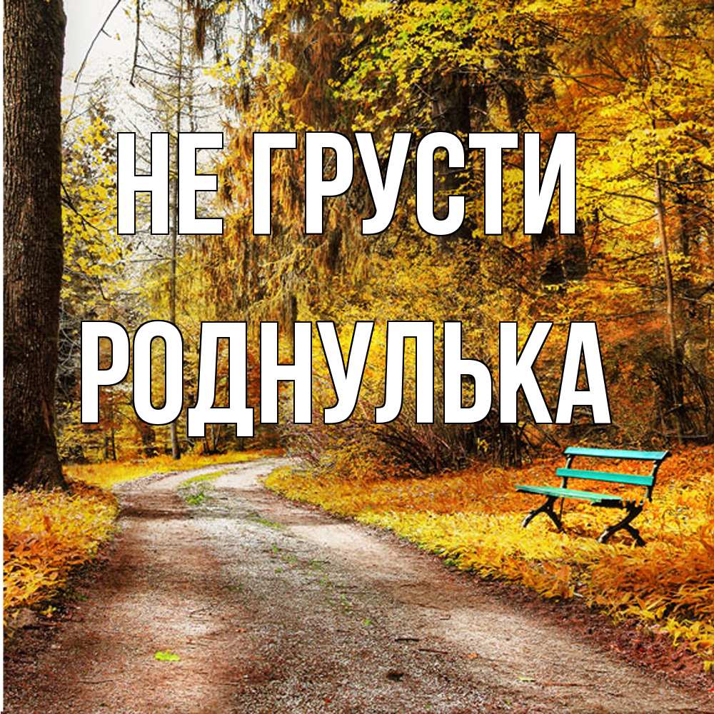 Открытка на каждый день с именем, Роднулька Не грусти зеленая лавочка Прикольная открытка с пожеланием онлайн скачать бесплатно 