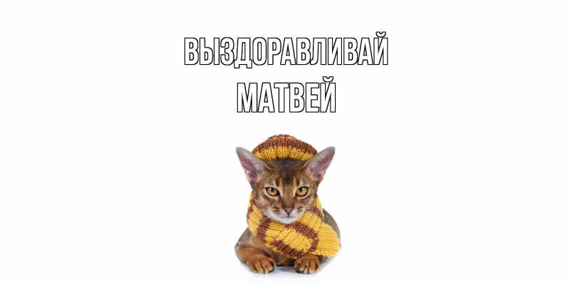 Картинка Выздоравливай, Матвей