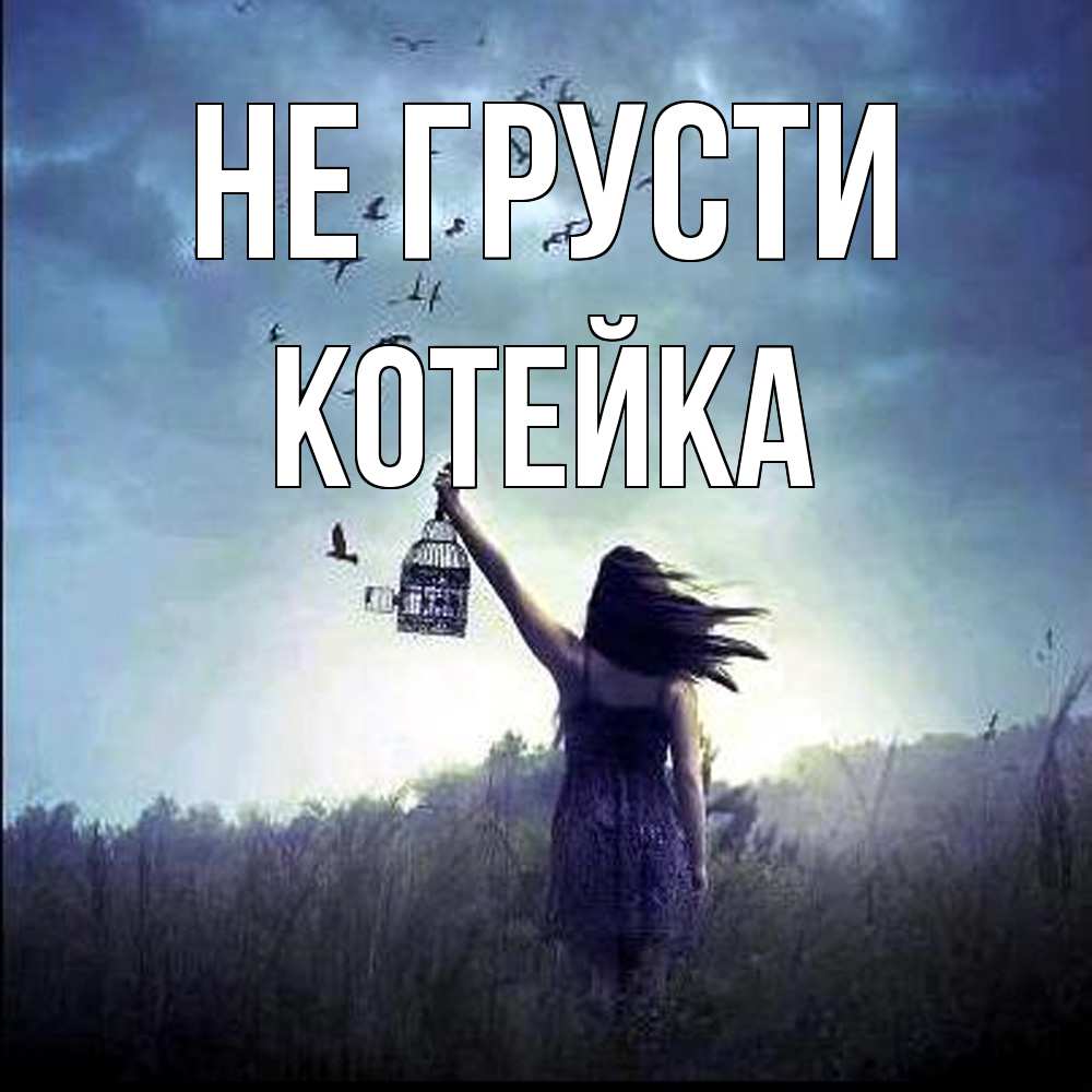 Открытка на каждый день с именем, Котейка Не грусти на волю Прикольная открытка с пожеланием онлайн скачать бесплатно 
