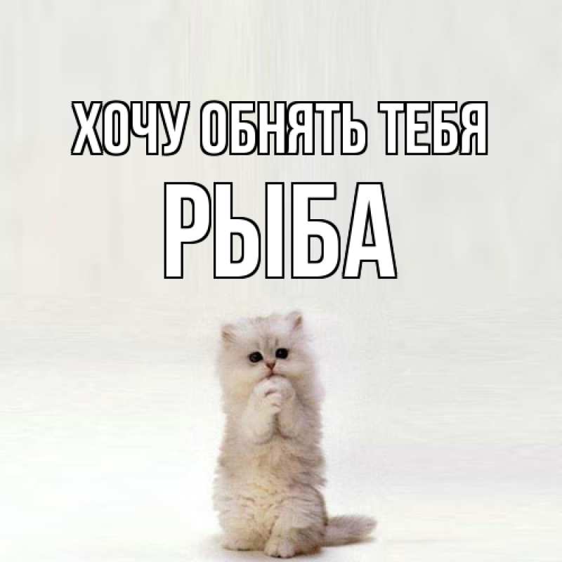 Картинка Хочу обнять тебя, Рыба