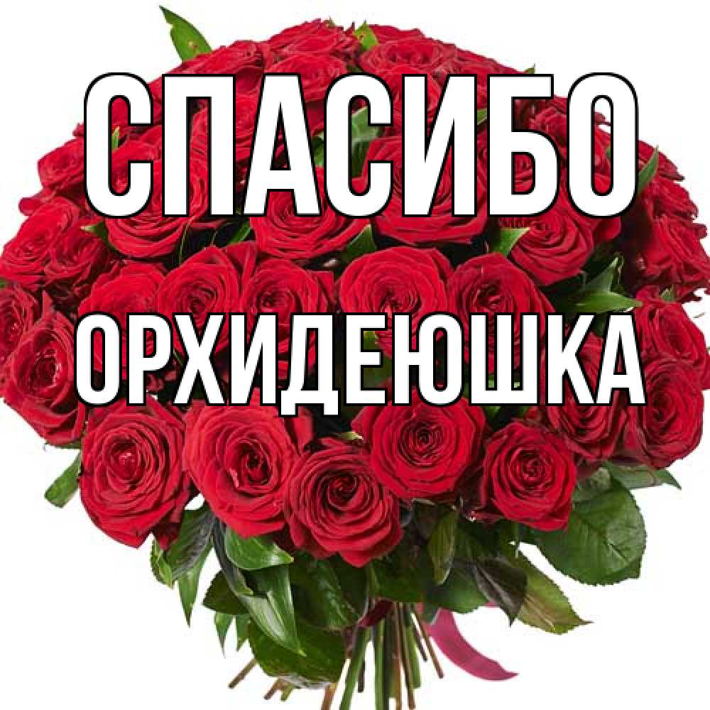 Открытка на каждый день с именем, Орхидеюшка Спасибо букет красных роз Прикольная открытка с пожеланием онлайн скачать бесплатно 