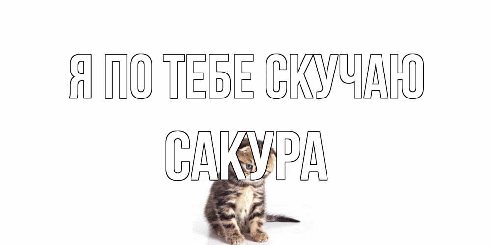 Открытка на каждый день с именем, Сакура Я по тебе скучаю кот Прикольная открытка с пожеланием онлайн скачать бесплатно 