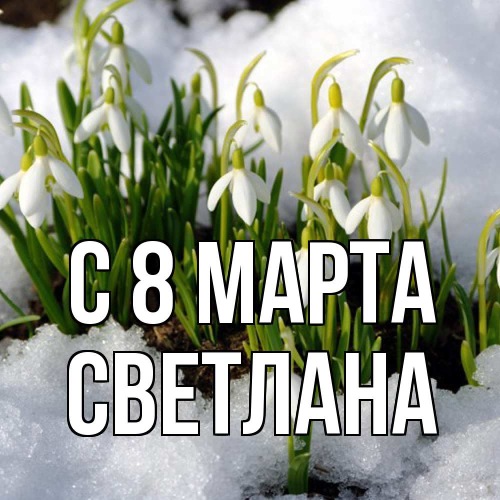 Открытка на каждый день с именем, Светлана C 8 МАРТА цветы весенние Прикольная открытка с пожеланием онлайн скачать бесплатно 