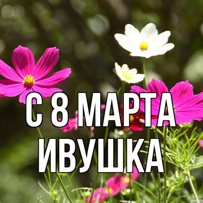 Картинка C 8 МАРТА, Ивушка