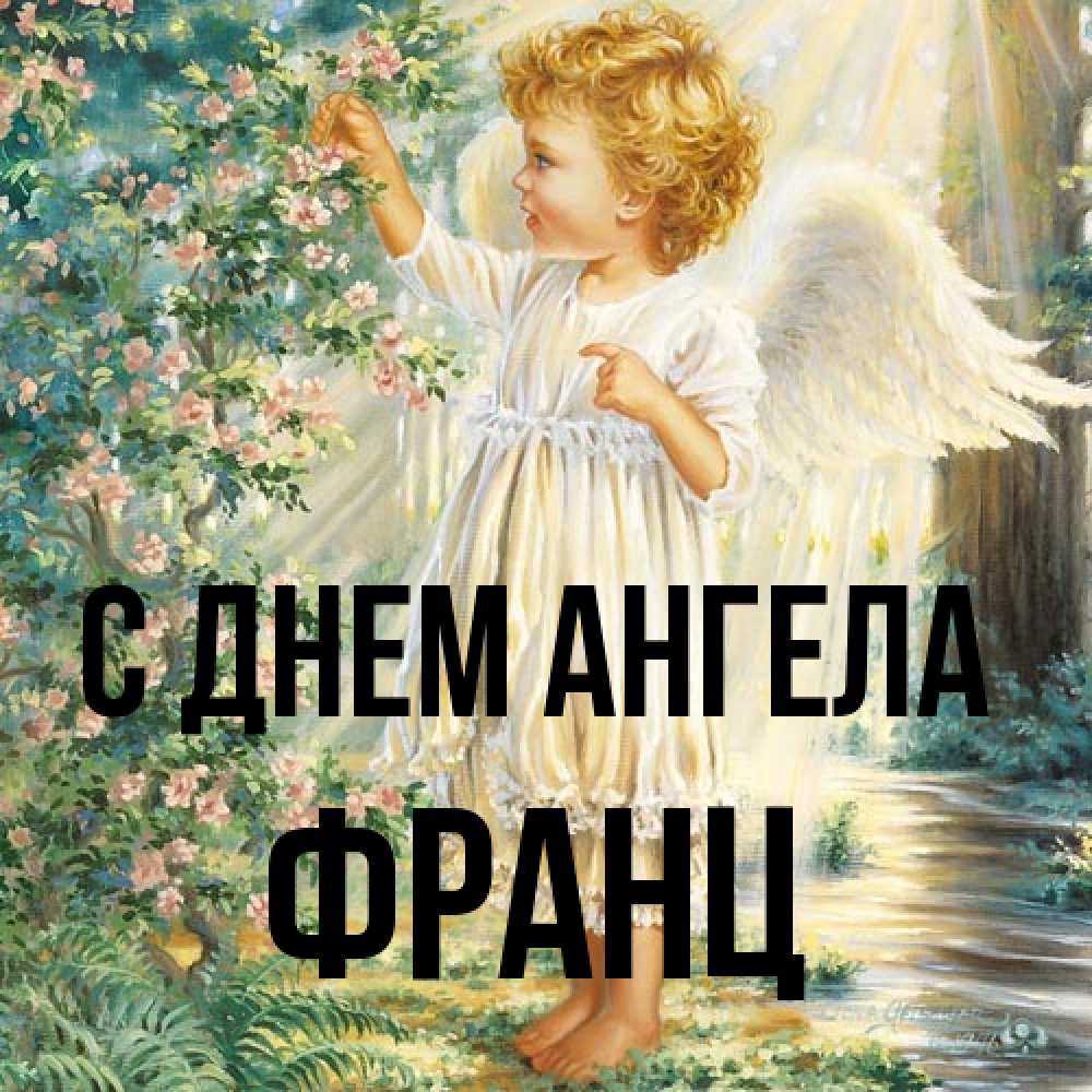 Открытка на каждый день с именем, Франц С днем ангела собирает цветы Прикольная открытка с пожеланием онлайн скачать бесплатно 