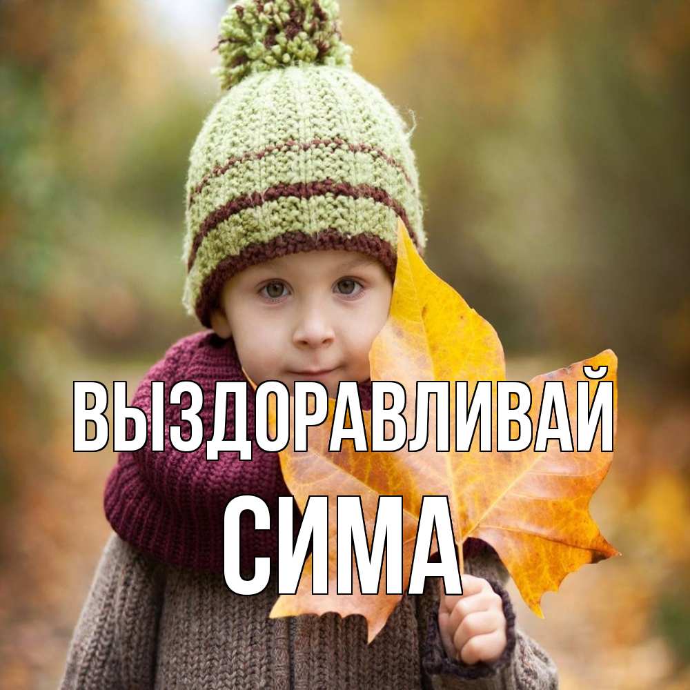 Открытка на каждый день с именем, Сима Выздоравливай дышим свежим воздухом Прикольная открытка с пожеланием онлайн скачать бесплатно 